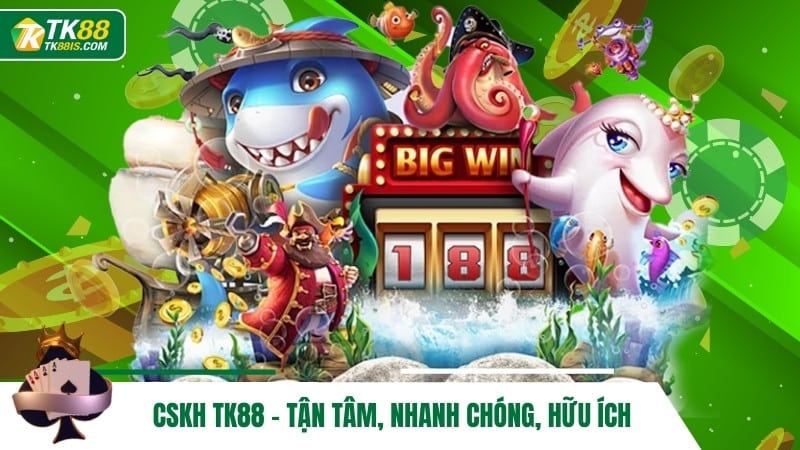 CSKH TK88 - Tận tâm, nhanh chóng, hữu ích